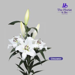 Litouwen