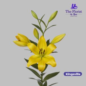 Kingsville